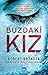 Buzdaki Kız (DCI Erika Foster, #1)