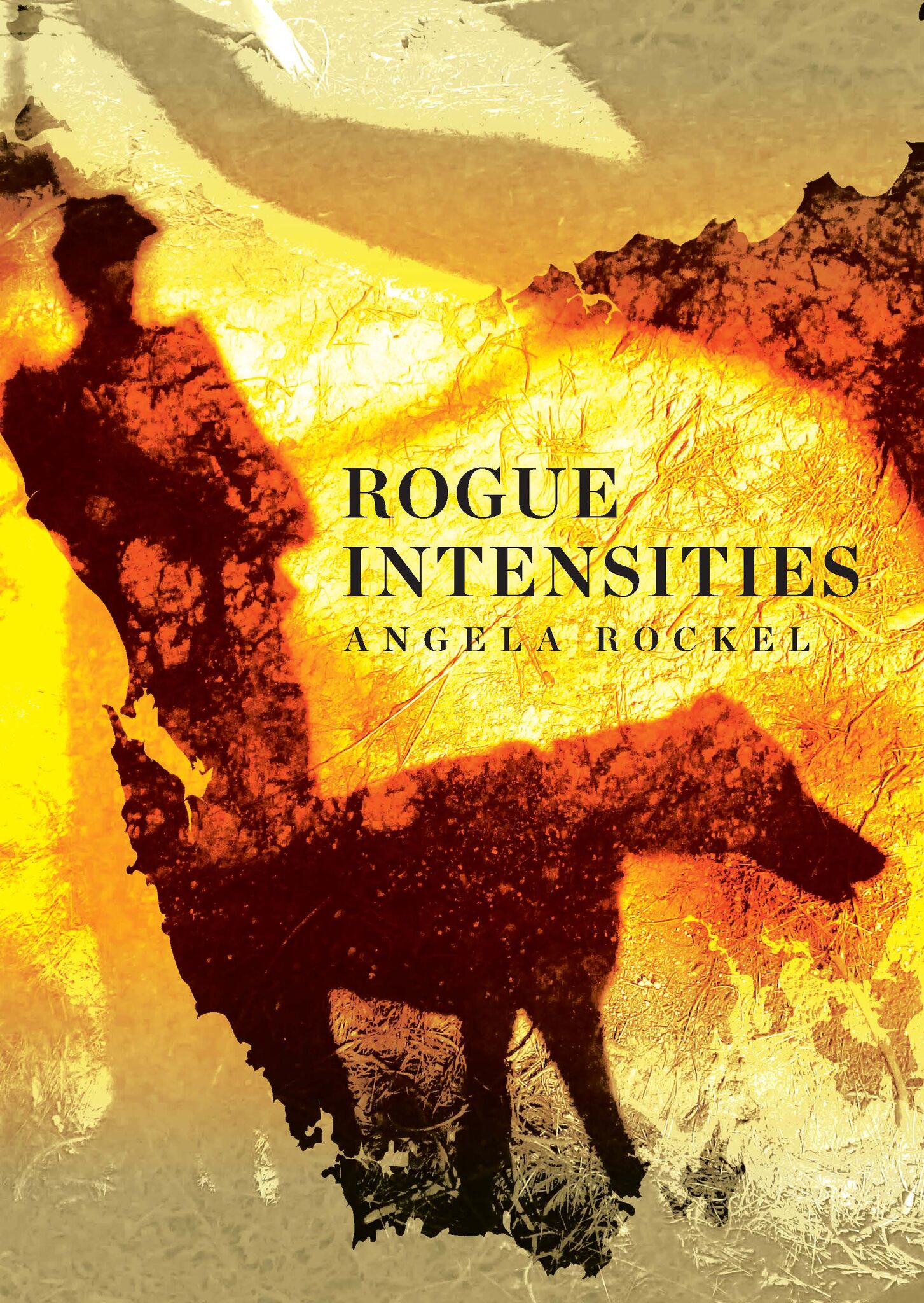 Rogue Intensities (Paperback)