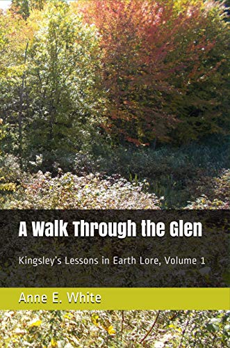 A Walk Through the Glen (Kindle Edition)