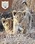 Lions: Junior Field Guide