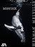 Moby Dick (French Edition)