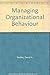 Managing Organizational Behavior by David A. Nadler