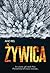 Żywica