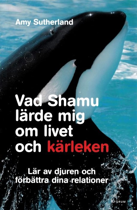Vad Shamu lärde mig om livet och kärleken
