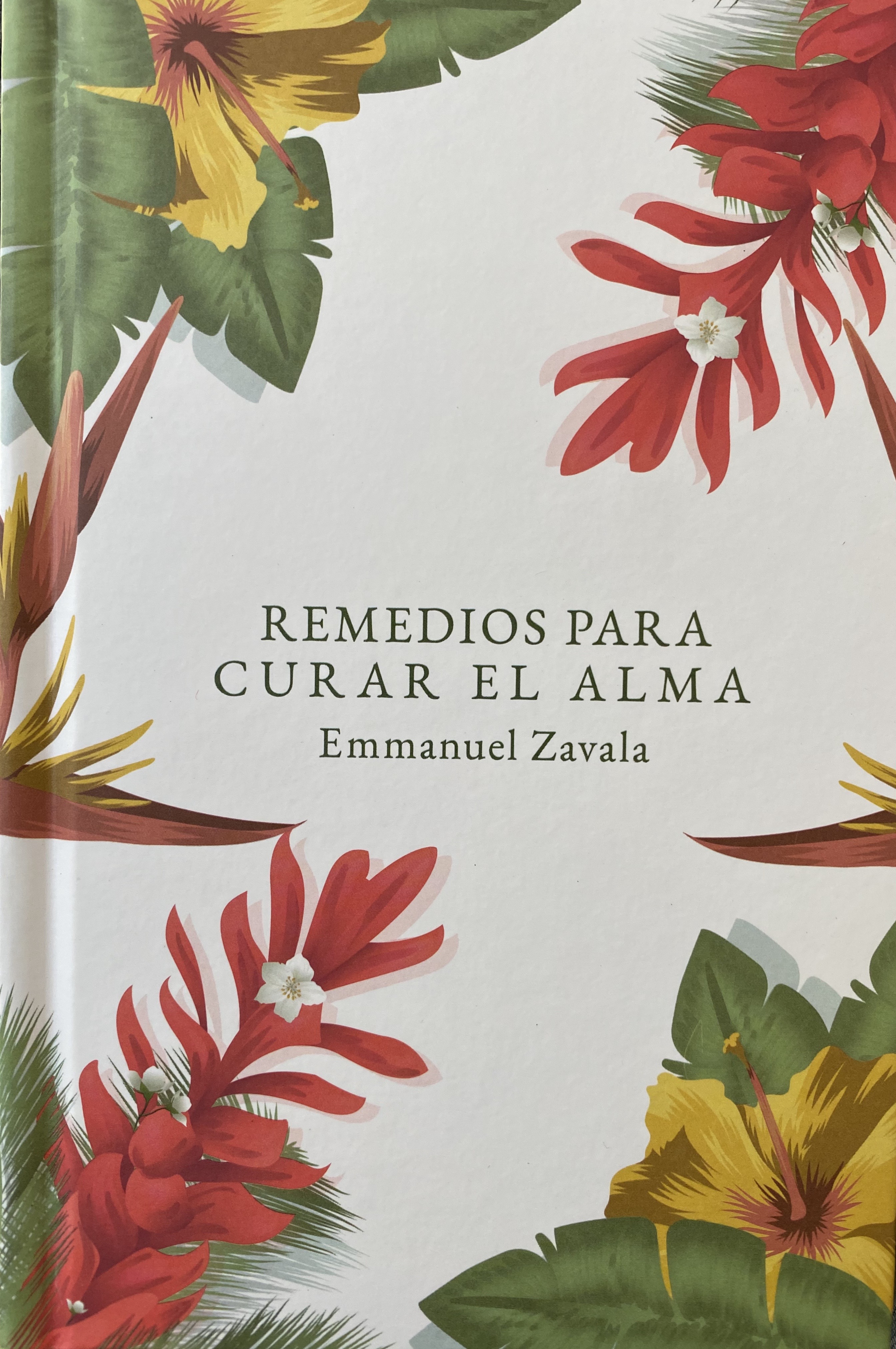 Remedios para curar el alma (Hardcover)