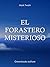 El forastero misterioso (Spanish Edition)