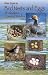 Field Guide to Bird Nests a...