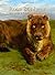Rosa Bonheur: Drawings & Pa...