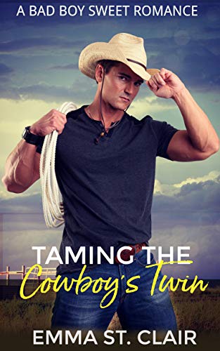 Taming the Cowboy's Twin  (Not So Bad Boys #4)
