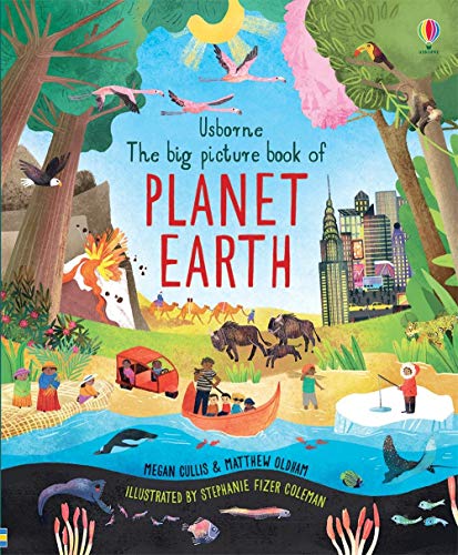 The Big Picture Book of Planet Earth (Hardcover)