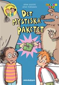 Det mystiska paketet (Skoldeckarna, #5)