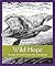 Wild Hope: Stories for Lent from the Vanishing