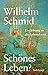 Schönes Leben?: Einführung in die Lebenskunst. Geschenkausgabe