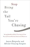 Stop Biting the Tail You're Chasing by Anyen Rinpoche