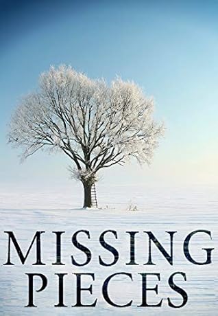 Missing Pieces (North and Martin Abduction Mystery, #2)