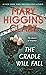 The Cradle Will Fall by Mary Higgins Clark