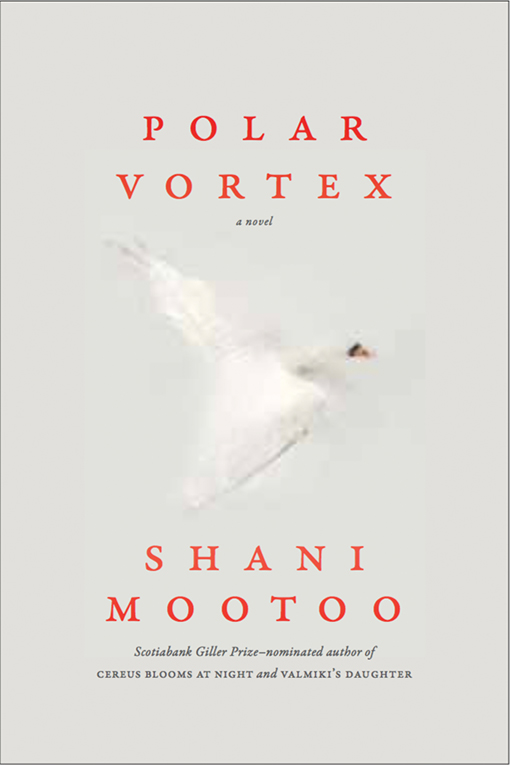 Polar Vortex (Paperback)