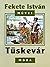 Tüskevár by István Fekete
