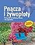 Pnacza i zywoploty
