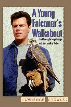 Young Falconer's Walkabout, A: Hitchhiking through Europe and Africa in the Sixties (Hardcover)