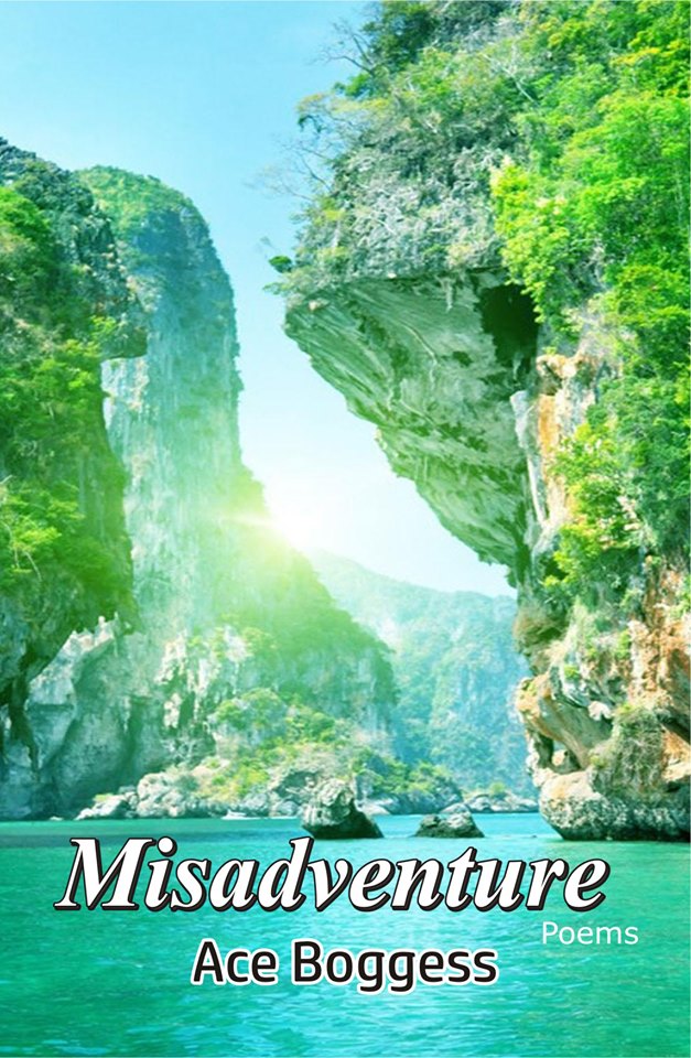 Misadventure