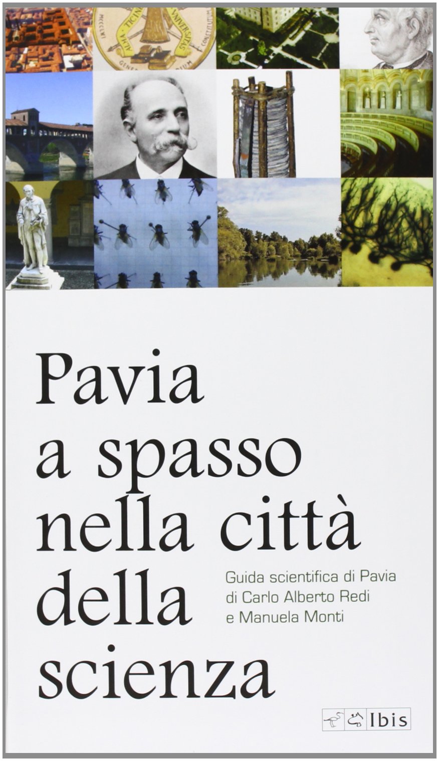 Pavia: a spasso nella città della scienza