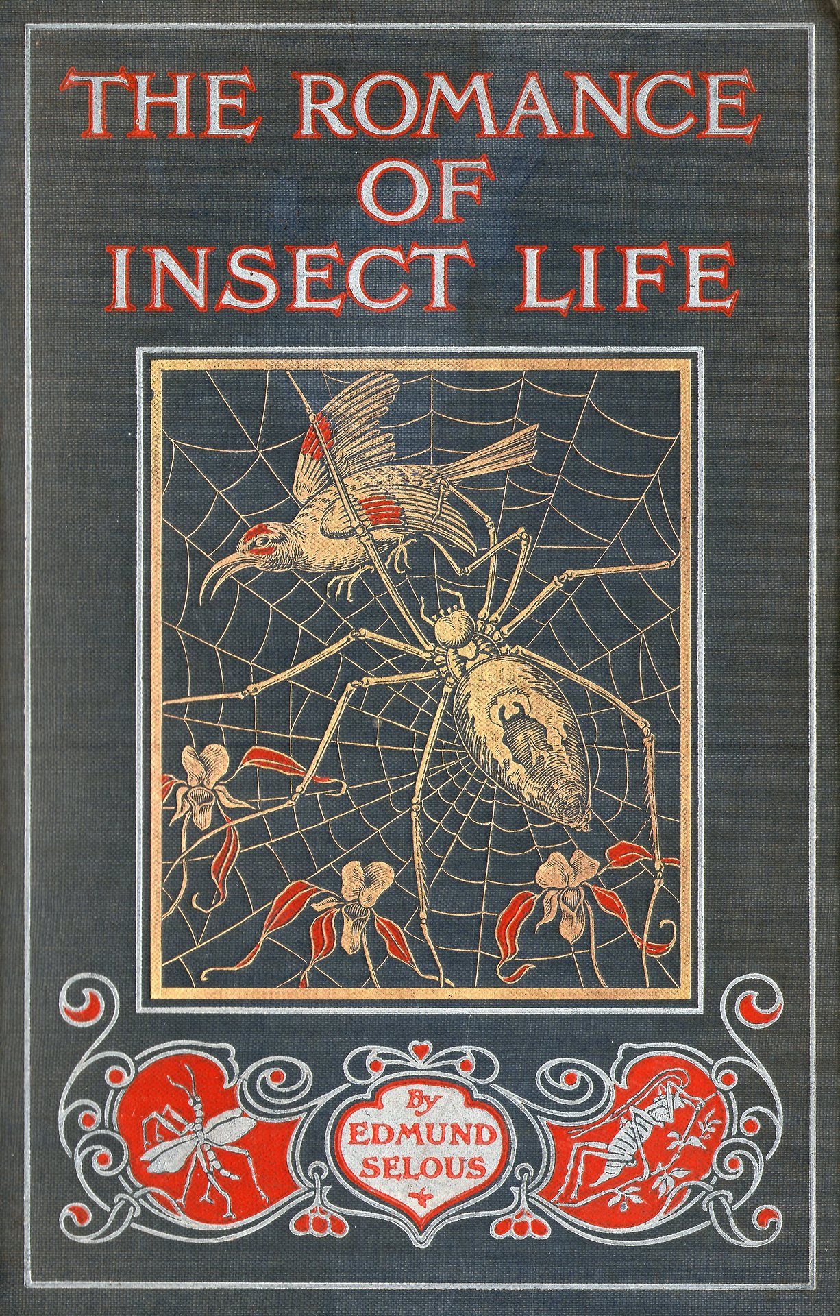 Romance of the insect life