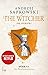 De Zwaluwentoren (The Witcher, #6)