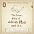 The Secret Diary of Adrian ...