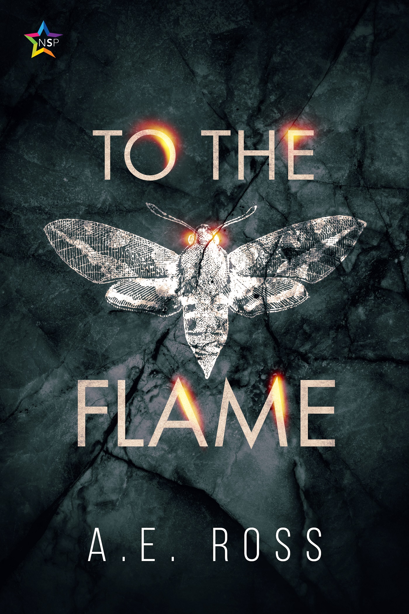 To the Flame (ebook)