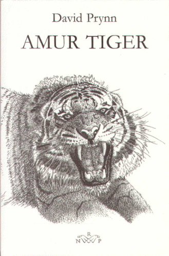 Amur Tiger (Paperback)