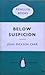 Below Suspicion