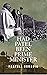 Had Patel been Prime Minister