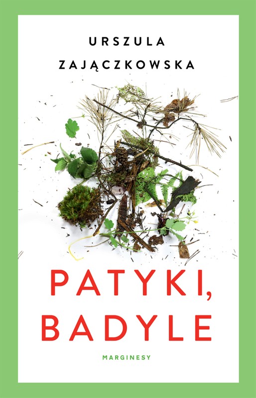 Patyki, badyle (Paperback)