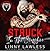 Struck in the Crossfire (Berzerkers MC, #1)