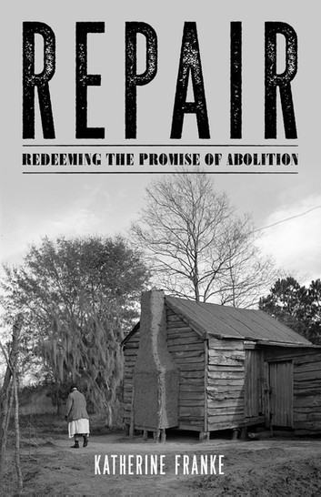 Repair: Redeeming the Promise of Abolition (Hardcover)