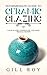 Intermediate Guide to Ceramic Glazing by Gill Roy