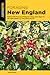 Foraging New England: Edible Wild Food and Medicinal Plants from Maine to the Adirondacks to Long Island Sound