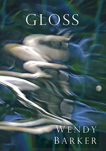 Gloss (Paperback)