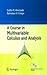 Course In Multivariable Calculus And Analysis: With 79 Figures (Undergraduate Texts In Mathematics)