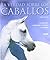 La Verdad Sobre Los Caballos