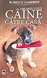 Drumul unui câine către casă