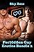Forbidden Gay Erotica Bundle 2