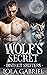 Wolf's Secret (District Shi...