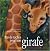 Pas de taches pour une girafe by Papineau