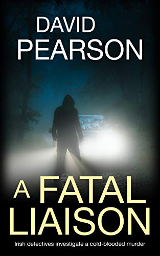 A Fatal Liaison (The Dublin Homicides #2)
