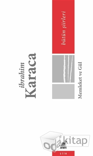 Memleket ve Gül (Paperback)