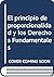 PRINCIPIO DE PROPORCIONALID...