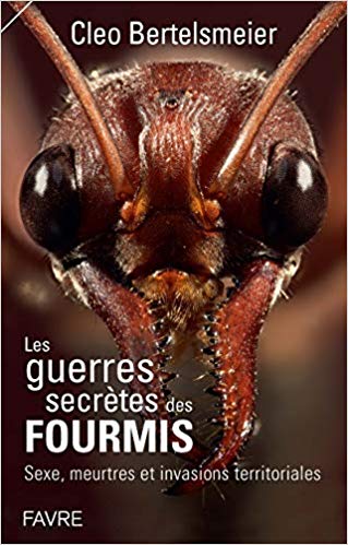 La guerre secrète des fourmis (Paperback)
