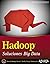 Hadoop. Soluciones Big Data